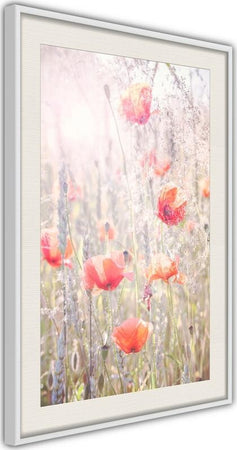 Poster-Poppies