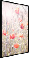 Poster-Poppies