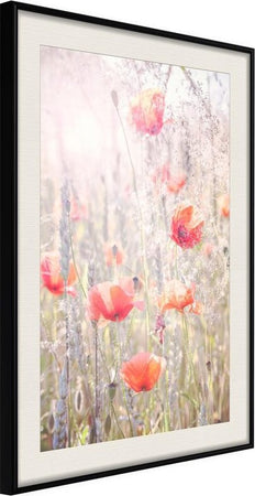 Poster-Poppies