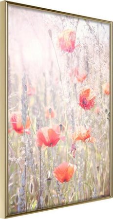 Poster-Poppies
