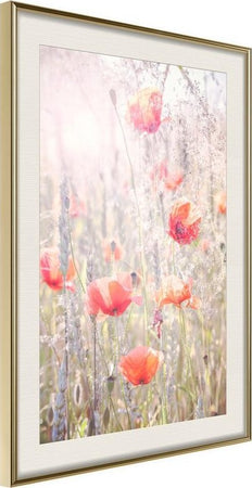 Poster-Poppies