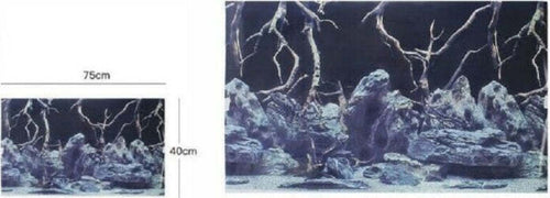 Poster-Sfondo-Per-Acquario-Terrario-Panorama-Decoro-40-X-75-Cm-61805-Assortiti