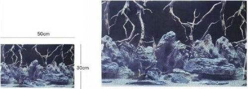 Poster-Sfondo-Per-Acquario-Terrario-Panorama-Decoro-Misura-30-X-50-Cm-61804