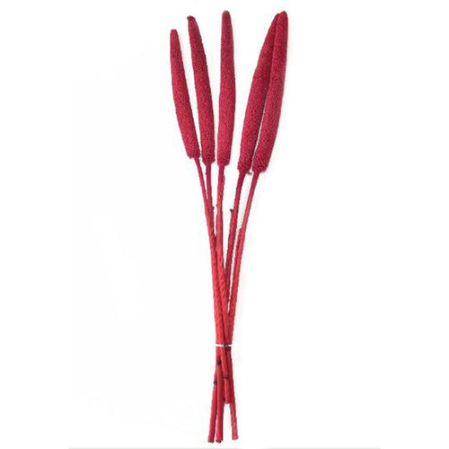 Confezione Potpourri colore rosso decorazione per interno h 78 cm