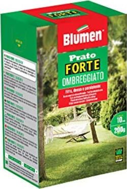 PRATO-FORTE-OMBREGGIATO-200-gr,-Verde