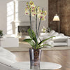 Vaso cilindro Orchidea Clear da esterno e giardino per piante e fiori