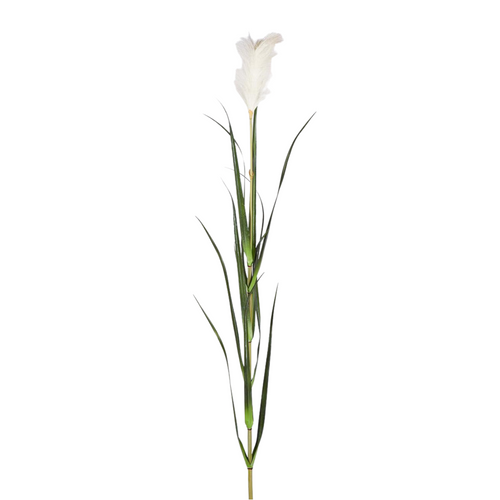 Ramo di Festuca Pampas bianco, decorazione natalizia da 180 cm