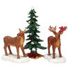 Decorazione Mr e Mrs Moose Set di 3 per Villaggio di Natale e presepe, in Resina da h 4,2 cm