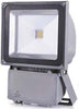 TOP FARETTO FARO LED 150W WATT DA ESTERNO IP65 LUCE FREDDA  Trade Shop italia - Napoli, Commerciovirtuoso.it