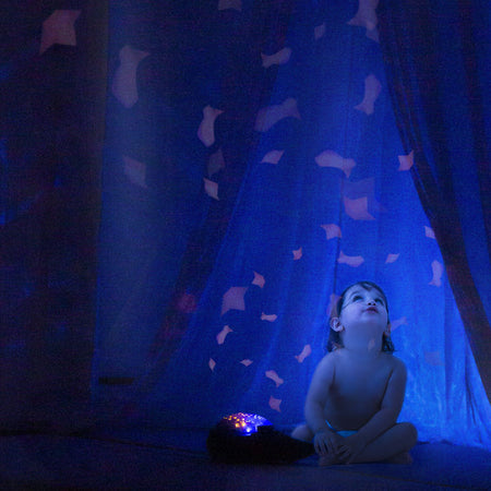 Proiettore musicale peluche Balena Blu con ninne nanne e proiezioni dinamiche 0+ Illuminazione/Illuminazione per interni/Illuminazione per bambini/Luci notturne per bambini La Casa Del Bebè - Napoli, Commerciovirtuoso.it