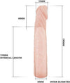 Prolunga Fallica Realgoos® In Morbido TPR Super Elastico Color Carne 190 X 35 mm Massimo piacere Salute e cura della persona/Erotismo e contraccezione/Sex toys/Guaine e prolunghe per il pene Kondorama - Martinsicuro, Commerciovirtuoso.it