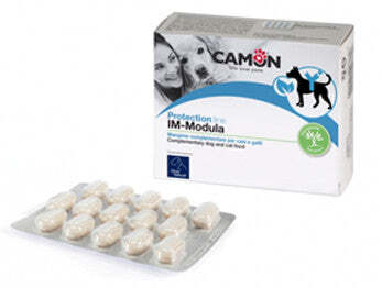 Product Image-0