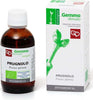 PRUGNOLO-Macerato-Glicerinato-Bio-Gemme-50-ml-Fitomedical
