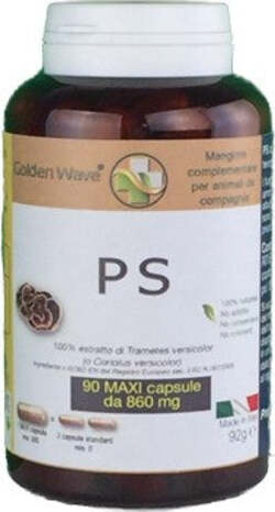 PS-90-MAXI-CAPSULE-Golden-Wave