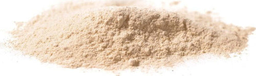 PSILLIO-CUTICOLA-Semi-bianchi-Polvere-1-kg-Biokyma