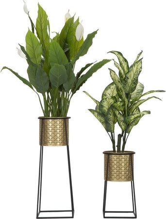 P/Vasi-Coppia-Cup-Cm-Ø-26X70-23X45