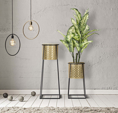 P/Vasi-Coppia-Cup-Cm-Ø-26X70-23X45