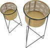 P/Vasi-Coppia-Exy-Cm-Ø-37X76-27X51