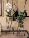 P/Vasi-Drak-Coppia-Cm-21X20X46-18X18X32