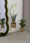 P/Vasi-Nat-Coppia-Cm-21X20X46-18X18X32