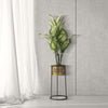 P/Vasi-Simply-Cm-Ø-25X50