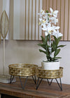 P/Vasi-Zanny-Coppia-Cm-Ø-20,5X13-18X13