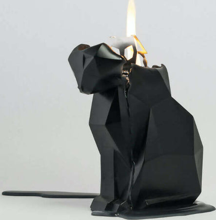 Pyropet kisa candela a forma di gatto nero 17 x 7,5 x 11,5 cm candela con scheletro in alluminio 54celsius Casa e cucina/Decorazioni per interni/Candele e portacandele/Candele/Candele di forme insolite MesmerizeD - Porto Sant’Elpidio, Commerciovirtuoso.it