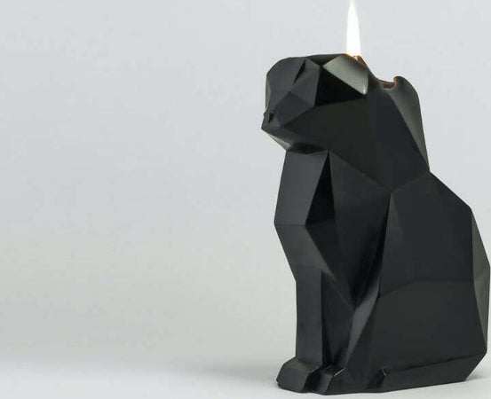 Pyropet kisa candela a forma di gatto nero 17 x 7,5 x 11,5 cm candela con scheletro in alluminio 54celsius Casa e cucina/Decorazioni per interni/Candele e portacandele/Candele/Candele di forme insolite MesmerizeD - Porto Sant’Elpidio, Commerciovirtuoso.it
