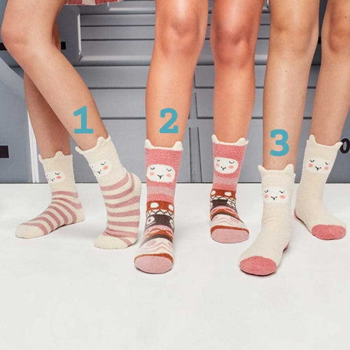 Calzini Gisela donna assortiti in cotone morbido, Made in Italy, comodi ed eleganti per uso quotidiano