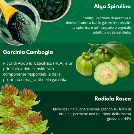 Spirulina Turbo Dimagrante – Integratore per Perdita di Peso – Riduce Fame Nervosa – Ultra Dimagrante Forte e Veloce – 60 Compresse 500mg – AlohaLabs