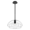 Sospensione Contemporanea Lotus Acciaio Nero Vetro 1 Luce E27