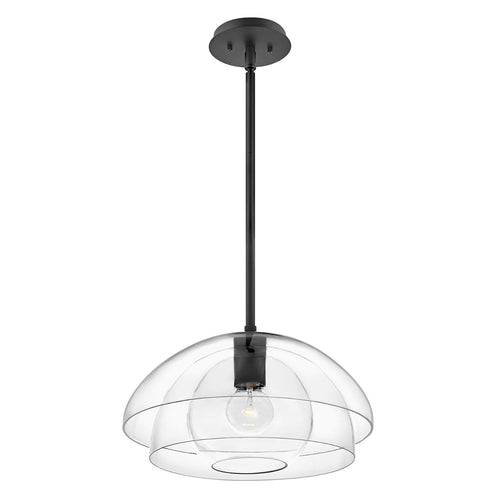 Sospensione Contemporanea Lotus Acciaio Nero Vetro 1 Luce E27