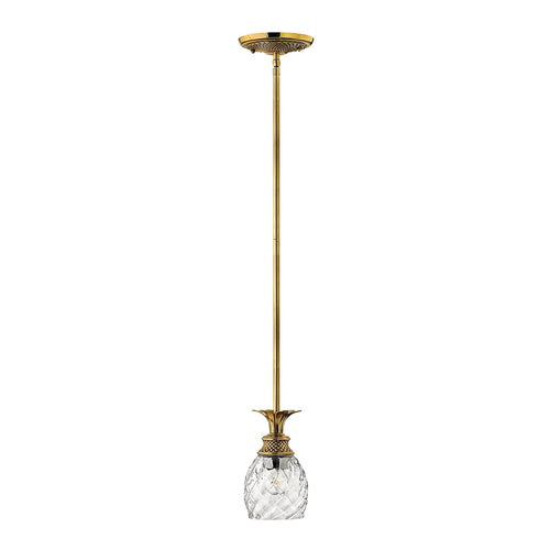 Sospensione Contemporanea Plantation Ottone Bronzo Brunito Vetro 1 Luce E27