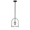 Sospensione Industrial Nordica Somerset Acciaio Nero Vetro 1 Luce E27
