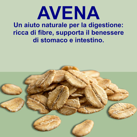 Gastronelle Integratore Alimentare per Gastrite e Reflusso - 60 Gommose Gusto Limone con Malva e Avena - Azione e Protettiva della Mucosa Gastrica