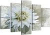 Quadri-Quadro-5-pezzi-Stampa-su-tela-Fiore-Bianco-Beige-Vintage