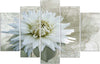 Quadri-Quadro-5-pezzi-Stampa-su-tela-Fiore-Bianco-Beige-Vintage
