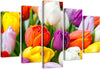 Quadri-Quadro-5-pezzi-Stampa-su-tela-Fiori-di-tulipani-colorati