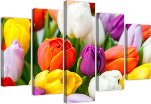 Quadri-Quadro-5-pezzi-Stampa-su-tela-Fiori-di-tulipani-colorati
