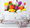 Quadri-Quadro-5-pezzi-Stampa-su-tela-Fiori-di-tulipani-colorati