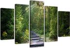 Quadri-Quadro-5-pezzi-Stampa-su-tela-Foresta-Natura-Paesaggio-verde