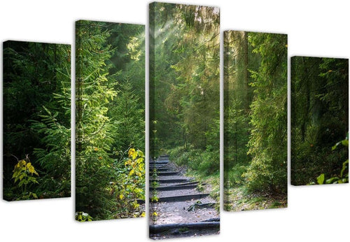 Quadri-Quadro-5-pezzi-Stampa-su-tela-Foresta-Natura-Paesaggio-verde