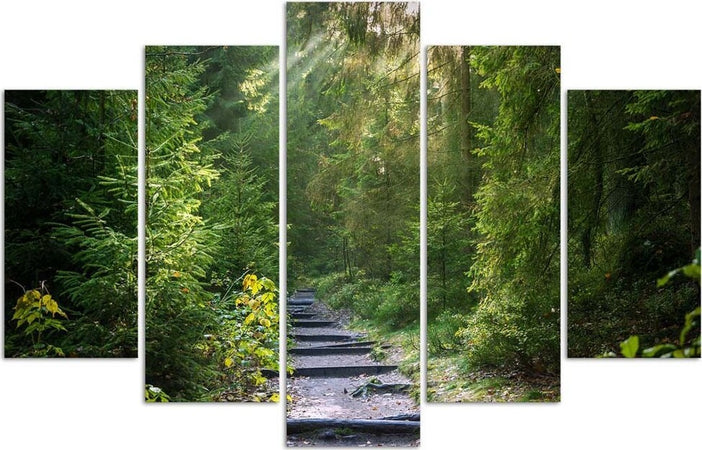 Quadri-Quadro-5-pezzi-Stampa-su-tela-Foresta-Natura-Paesaggio-verde
