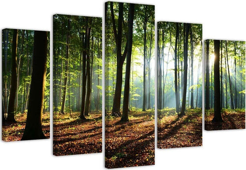 Quadri-Quadro-5-pezzi-Stampa-su-tela-Foresta-Verde-Natura