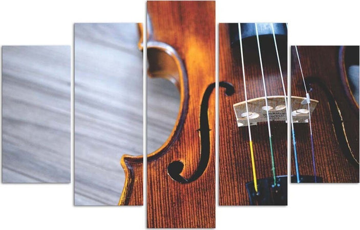 Quadri-Quadro-5-pezzi-Stampa-su-tela-Musica-per-violino