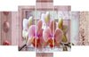 Quadri-Quadro-5-pezzi-Stampa-su-tela-Orchidee-a-fiore-rosa