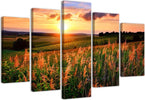 Quadri-Quadro-5-pezzi-Stampa-su-tela-Prato-fiorito-al-tramonto