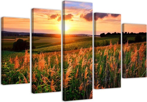 Quadri-Quadro-5-pezzi-Stampa-su-tela-Prato-fiorito-al-tramonto