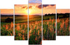 Quadri-Quadro-5-pezzi-Stampa-su-tela-Prato-fiorito-al-tramonto