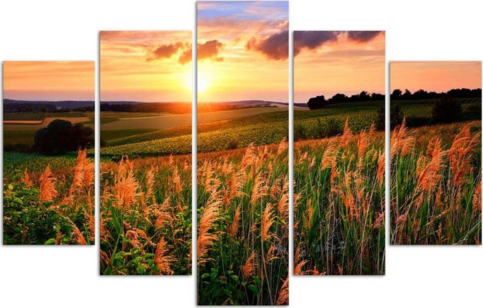 Quadri-Quadro-5-pezzi-Stampa-su-tela-Prato-fiorito-al-tramonto